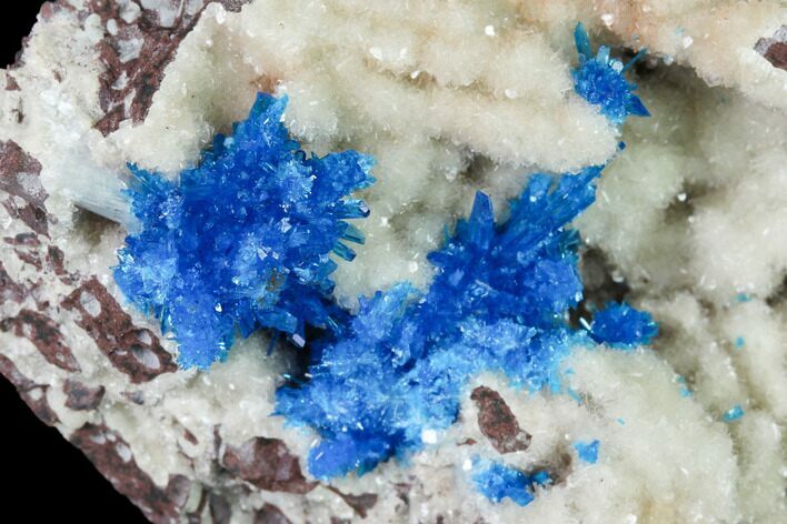 Vibrant Blue Cavansite Clusters on Stilbite - India #168244